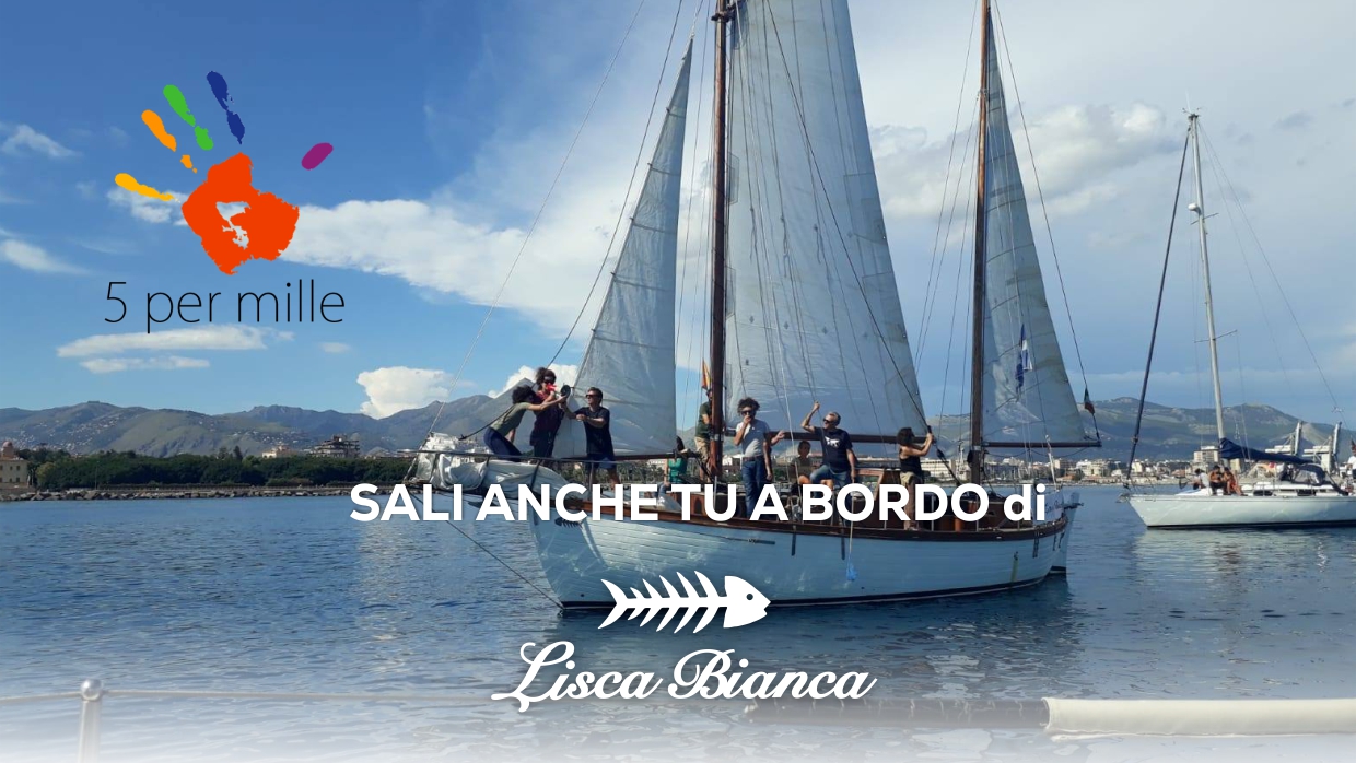Dona il tuo 5x1000 a Lisca Bianca