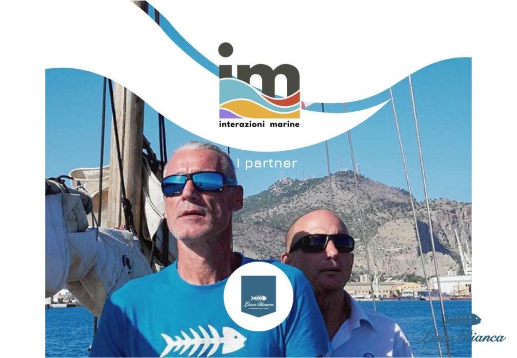 Interazioni Marine
